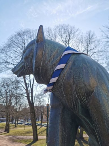 Satakunnan karhu -patsas kaulassaan sinivalkoinen partiohuivi.